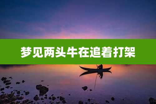 梦见两头牛在追着打架