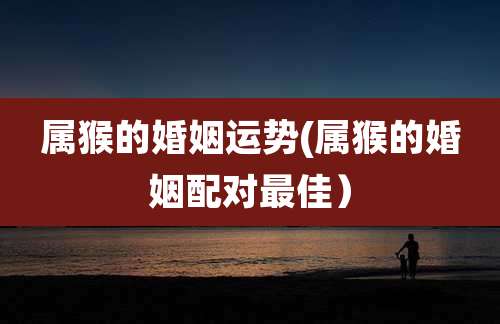 属猴的婚姻运势(属猴的婚姻配对最佳)