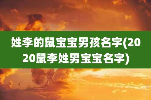 姓李的鼠宝宝男孩名字(2020鼠李姓男宝宝名字)