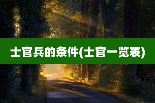 士官兵的条件(士官一览表)