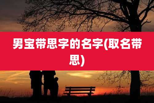 男宝带思字的名字(取名带思)