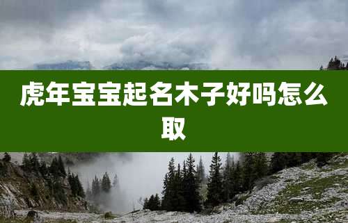 虎年宝宝起名木子好吗怎么取