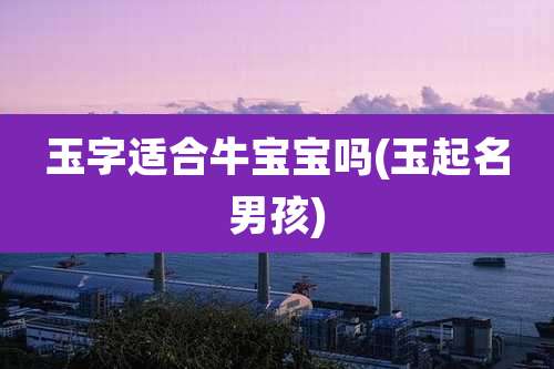 玉字适合牛宝宝吗(玉起名男孩)