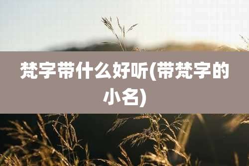 梵字带什么好听(带梵字的小名)