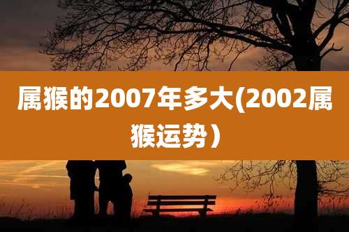 属猴的2007年多大(2002属猴运势）