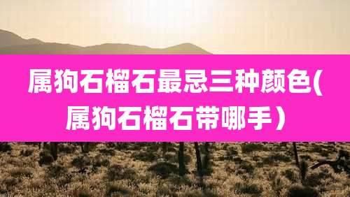 属狗石榴石最忌三种颜色(属狗石榴石带哪手)