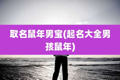 取名鼠年男宝(起名大全男孩鼠年)