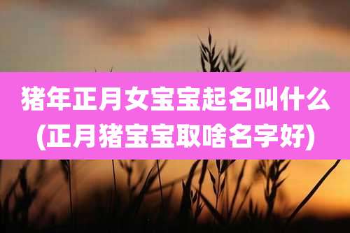 猪年正月女宝宝起名叫什么(正月猪宝宝取啥名字好)