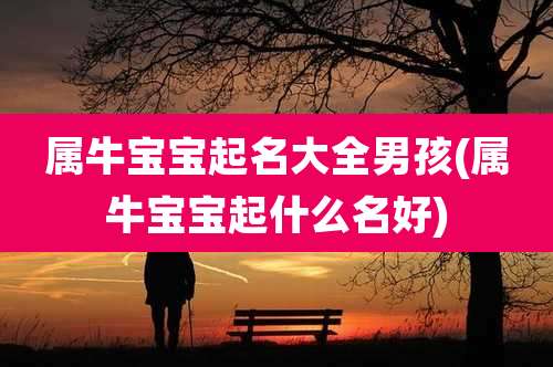 属牛宝宝起名大全男孩(属牛宝宝起什么名好)