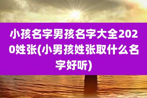 小孩名字男孩名字大全2020姓张(小男孩姓张取什么名字好听)