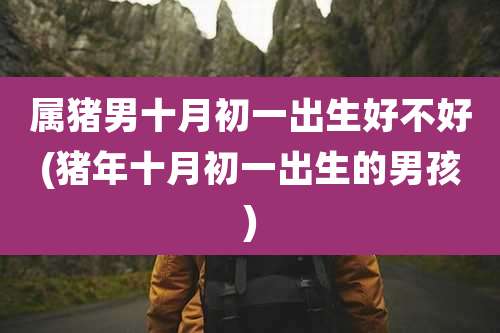 属猪男十月初一出生好不好(猪年十月初一出生的男孩)