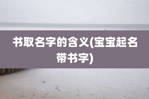 书取名字的含义(宝宝起名带书字)