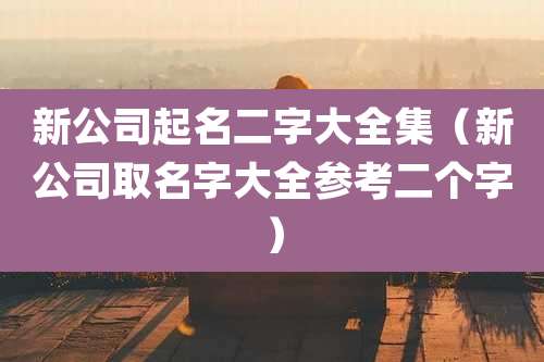 新公司起名二字大全集(新公司取名字大全参考二个字)