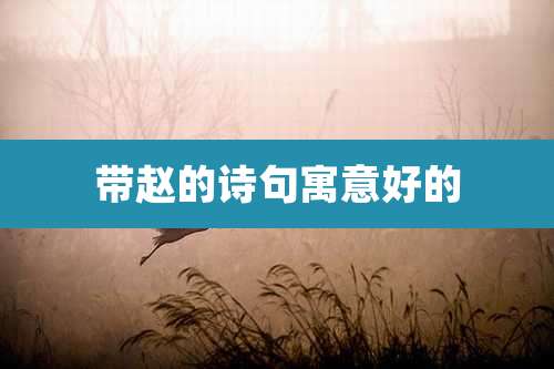 带赵的诗句寓意好的