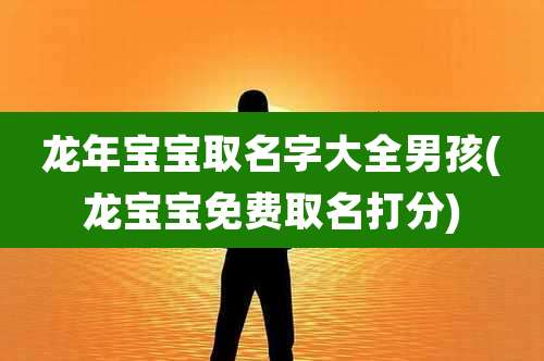 龙年宝宝取名字大全男孩(龙宝宝免费取名打分)