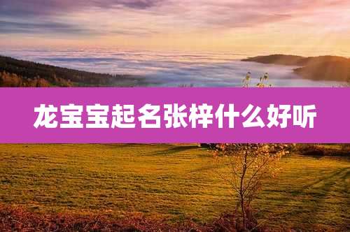 龙宝宝起名张梓什么好听