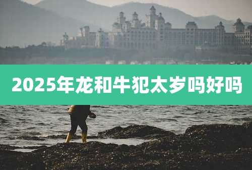 2025年龙和牛犯太岁吗好吗