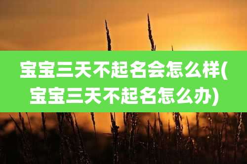 宝宝三天不起名会怎么样(宝宝三天不起名怎么办)