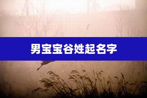 男宝宝谷姓起名字