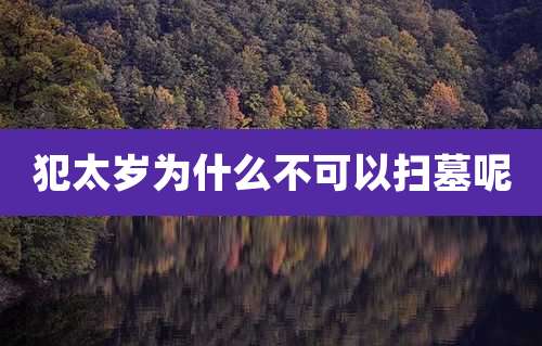 犯太岁为什么不可以扫墓呢