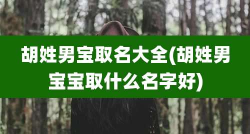 胡姓男宝取名大全(胡姓男宝宝取什么名字好)