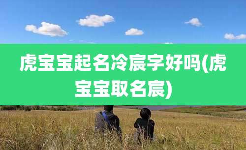 虎宝宝起名冷宸字好吗(虎宝宝取名宸)