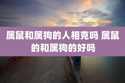 属鼠和属狗的人相克吗 属鼠的和属狗的好吗