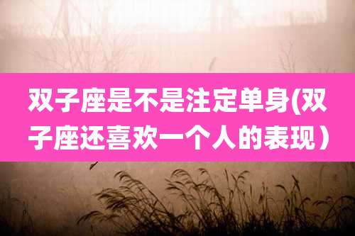 双子座是不是注定单身(双子座还喜欢一个人的表现）