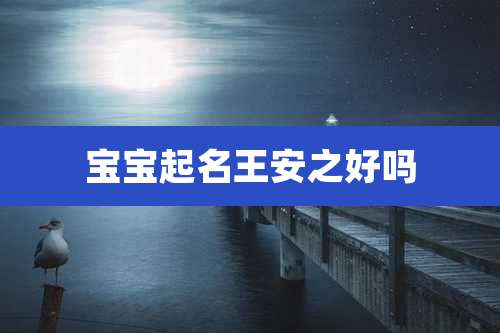 宝宝起名王安之好吗