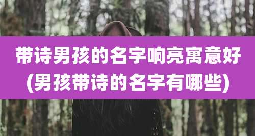 带诗男孩的名字响亮寓意好(男孩带诗的名字有哪些)