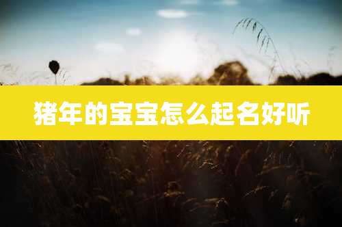 猪年的宝宝怎么起名好听