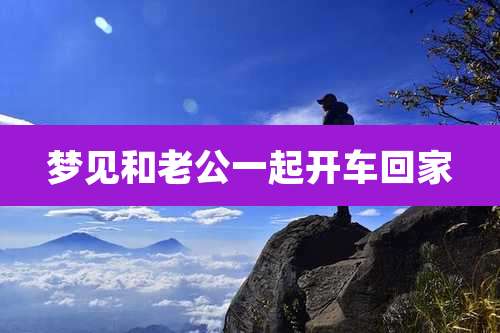 梦见和老公一起开车回家