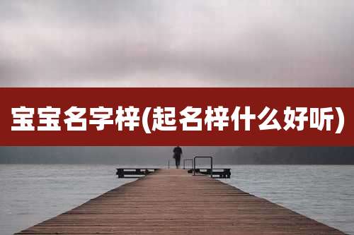 宝宝名字梓(起名梓什么好听)