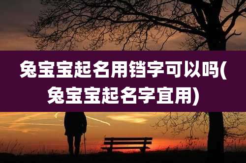 兔宝宝起名用铛字可以吗(兔宝宝起名字宜用)