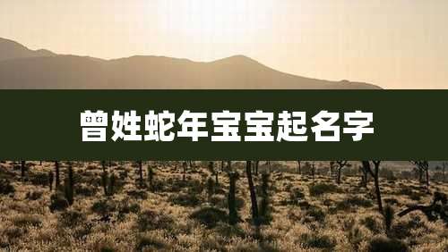 曾姓蛇年宝宝起名字