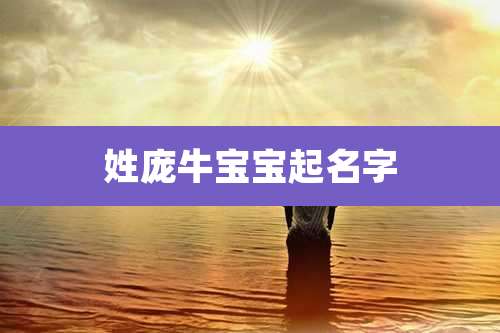 姓庞牛宝宝起名字