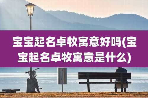 宝宝起名卓牧寓意好吗(宝宝起名卓牧寓意是什么)