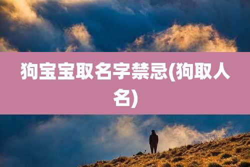 狗宝宝取名字禁忌(狗取人名)