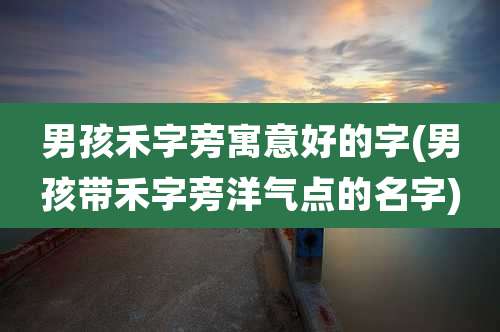 男孩禾字旁寓意好的字(男孩带禾字旁洋气点的名字)