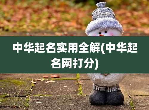 中华起名实用全解(中华起名网打分)