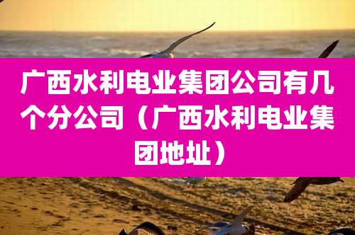 广西水利电业集团公司有几个分公司（广西水利电业集团地址）