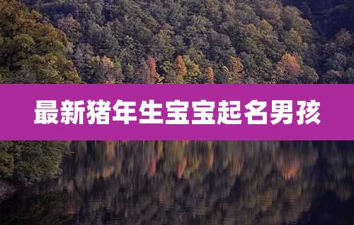 最新猪年生宝宝起名男孩