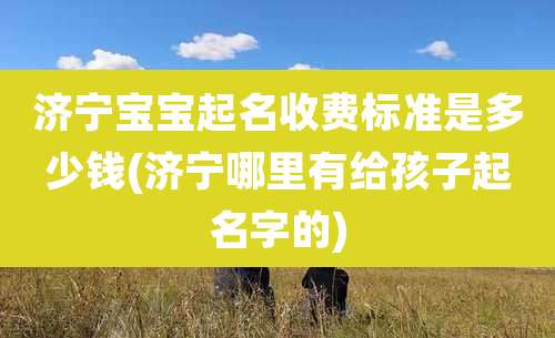 济宁宝宝起名收费标准是多少钱(济宁哪里有给孩子起名字的)
