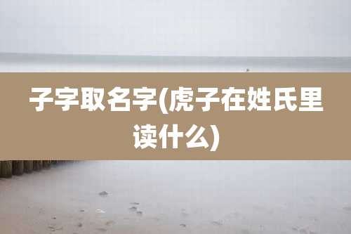 子字取名字(虎子在姓氏里读什么)