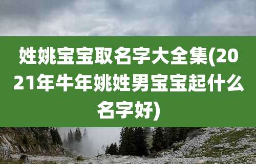 姓姚宝宝取名字大全集(2021年牛年姚姓男宝宝起什么名字好)