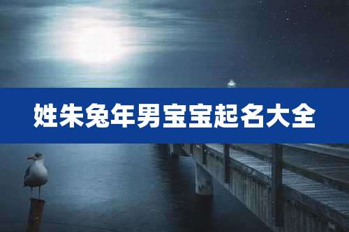 姓朱兔年男宝宝起名大全