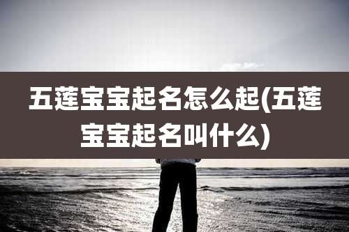 五莲宝宝起名怎么起(五莲宝宝起名叫什么)
