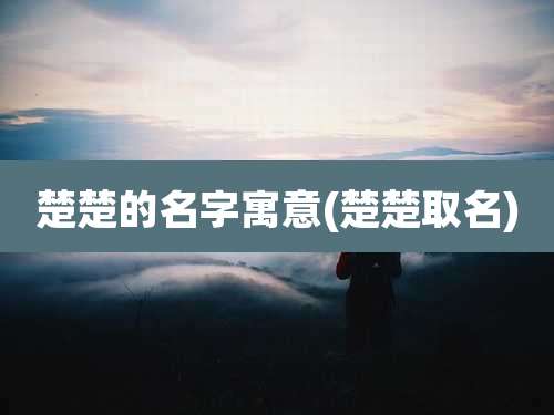楚楚的名字寓意(楚楚取名)