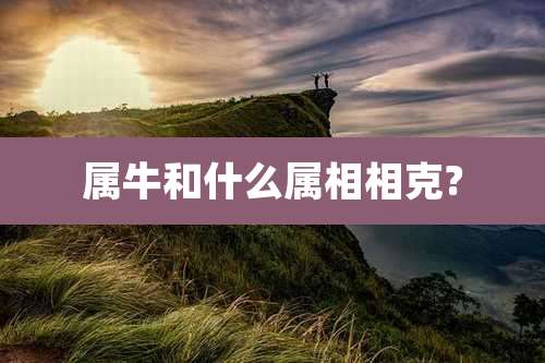 属牛和什么属相相克?