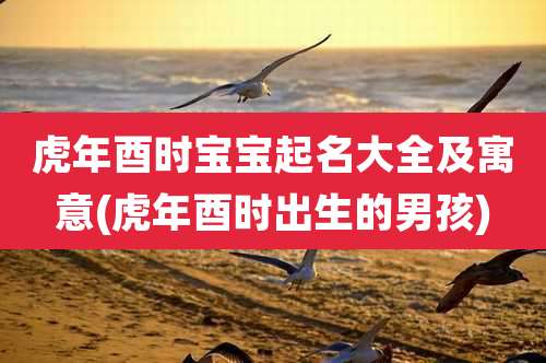 虎年酉时宝宝起名大全及寓意(虎年酉时出生的男孩)